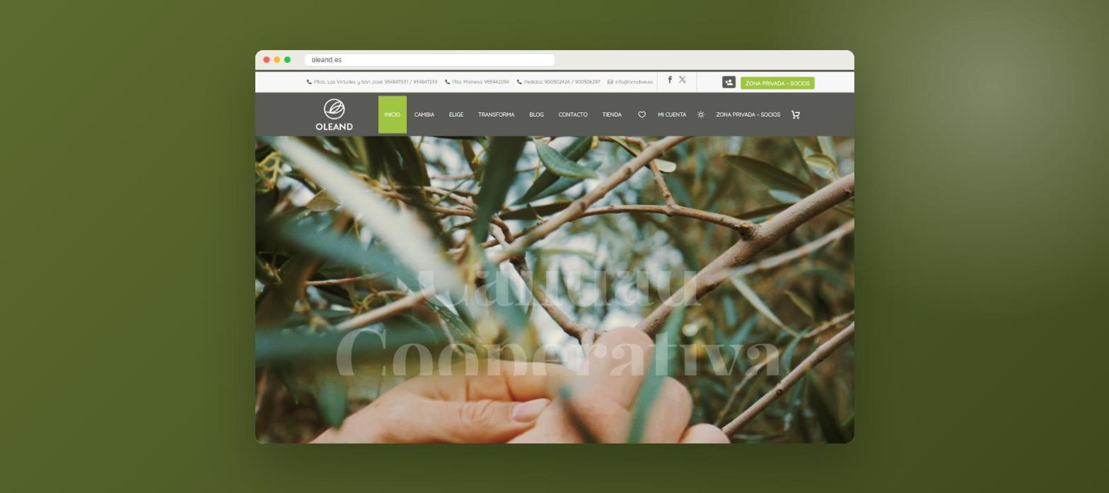 Web de Oleand: página de inicio vista en escritorio